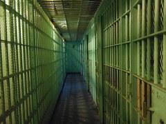 Are Bail Amounts Set Higher For Minorities In New Haven?